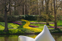 Keukenhof