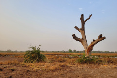 Landschap