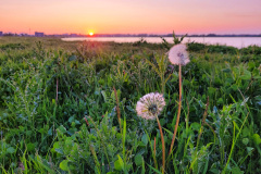Zonsondergang