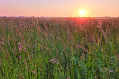 Zonsondergang
