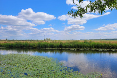 Landschap