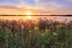 Zonsondergang