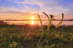 Zonsondergang
