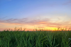 Zonsondergang