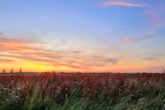 Zonsondergang
