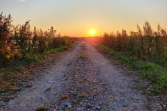 Zonsondergang