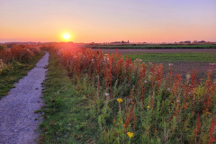 Zonsondergang