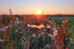 Zonsondergang