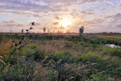 Zonsondergang