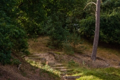 Hoge Veluwe