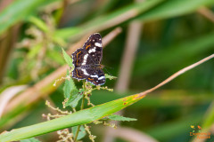Landkaartje